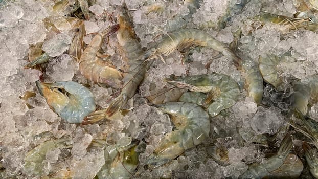 Fresh prawn display in wet market. Seafood concept