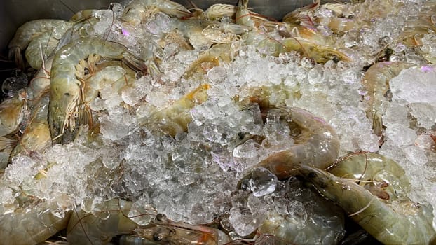 Side view of fresh prawn display in wet market. Seafood concept.