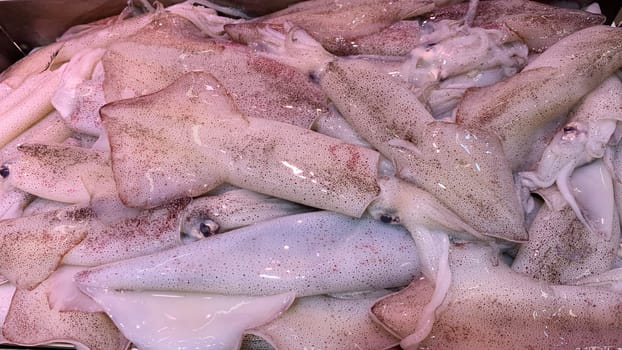 Top view of fresh squids display in market.