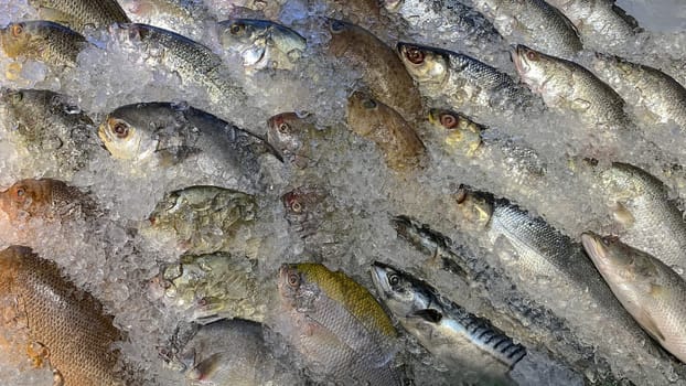 Top view of fresh fish covered with ice . Asian food.