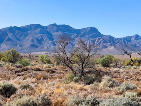 Distant mountains in Ikara Flinders Ranges South Australia