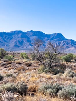 Distant mountains in Ikara Flinders Ranges South Australia