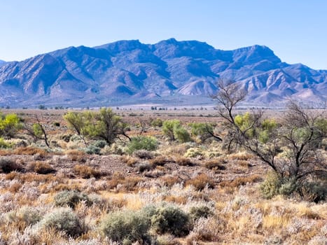 Distant mountains in Ikara Flinders Ranges South Australia