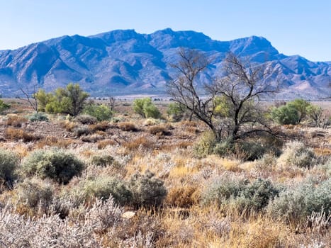 Distant mountains in Ikara Flinders Ranges South Australia