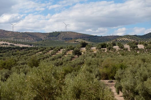 Scenic view of wind turbines on hills overlooking a green rural landscape with fields and trees under a partly cloudy sky.