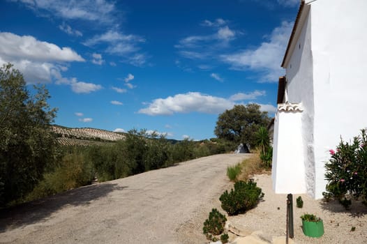 Beautiful rural scene featuring a white house, winding gravel path, lush greenery, and a vivid blue sky with fluffy clouds. Perfect for countryside and travel themes.