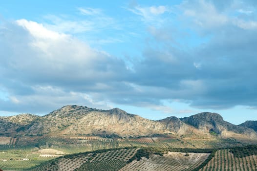 Beautiful landscape featuring mountains, expansive agricultural fields, and a partly cloudy sky. The scene showcases the serenity and natural beauty of rural countryside.