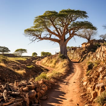 A dirt road with a large tree in the middle. The road is surrounded by rocks and the sky is blue