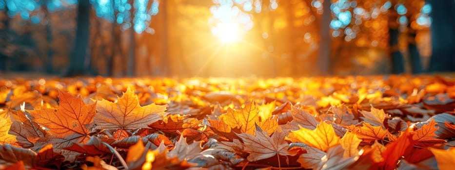 Beautiful autumn landscape with falling yellow leaves covering the ground. The blue sky and the warming sun. Natural autumnal concept. Advertising presentation with space for copy.