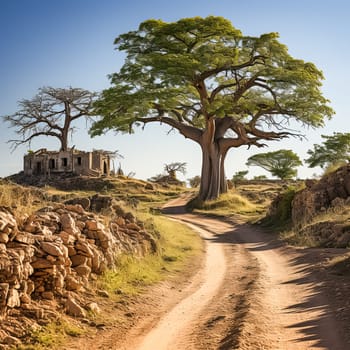 A dirt road with a large tree in the middle. The road is surrounded by rocks and the sky is blue