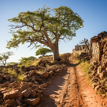 A dirt road with a large tree in the middle. The road is surrounded by rocks and the sky is blue