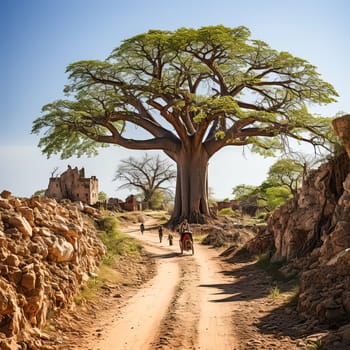 A dirt road with a large tree in the middle. The road is surrounded by rocks and the sky is blue