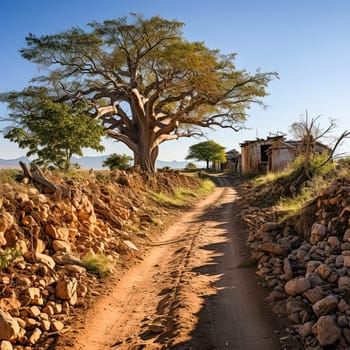 A dirt road with a large tree in the middle. The road is surrounded by rocks and the sky is blue