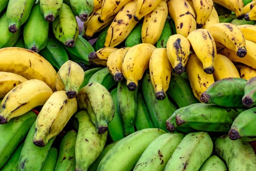 Organic bananas free of pesticides or chemicals displayed for sale