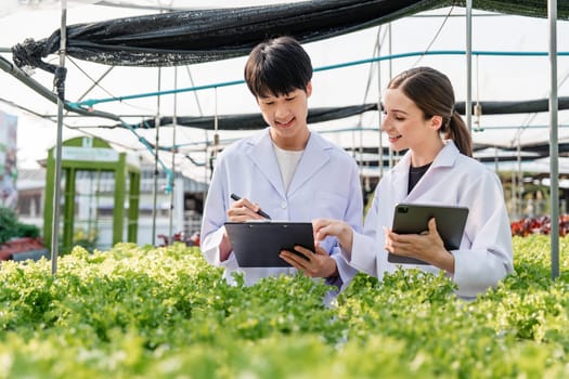 A team of researchers in lab coats working on chemical analysis in a vegetable garden, focusing on agricultural innovation and sustainability.