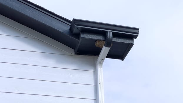 Close-up view of a bird nest tucked under the roof of a suburban house, captured against a clear blue sky. The nest is situated near the house gutter system, highlighting a common nesting spot for birds.