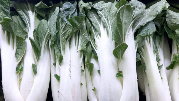 A close-up view of fresh bok choy neatly stacked in a grocery store. The crisp white stalks and vibrant green leaves glisten with droplets of water, showcasing their freshness and appeal.