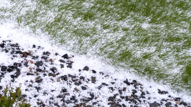 A lawn and rock garden blanketed in hail following a storm, with the green grass and small shrubs peeking through the layer of ice. The contrast between the white hail and the greenery creates a striking visual effect.