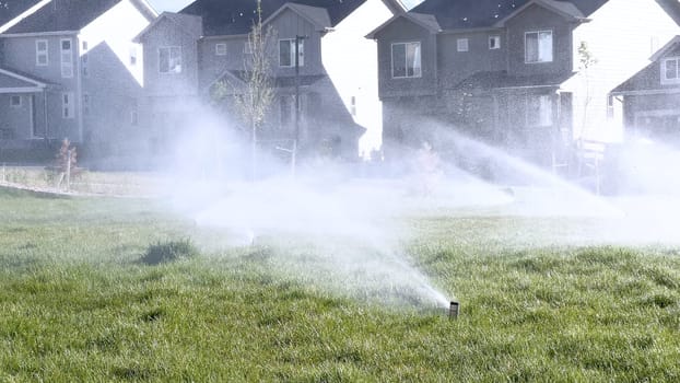 A suburban neighborhood scene featuring automatic sprinklers watering a lush green lawn in front of modern homes. The sprinklers create a misty effect, emphasizing the freshness and care of the landscape.