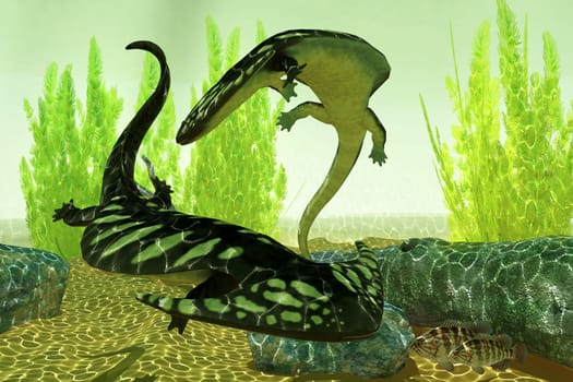 Diplocaulus was an amphibian tetrapod that lived in the Permian and Carboniferous Periods of North America and Africa.