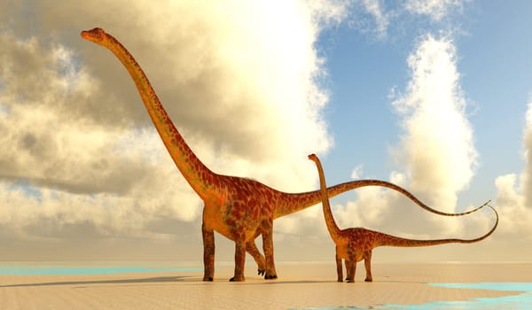 Diplodocus was a sauropod herbivorous dinosaur that lived in North America during the Jurassic Period.