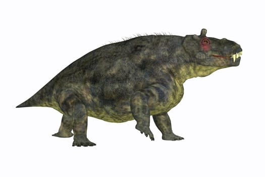 Estemmenosuchus uralensis was an omnivorous therapsid animal that lived in the Permian Period of Russia.