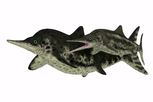 Stenopterygius was an marine reptile that swam in the seas of Europe during the Jurassic Period.