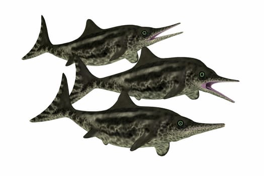 Stenopterygius was an marine reptile that swam in the seas of Europe during the Jurassic Period.