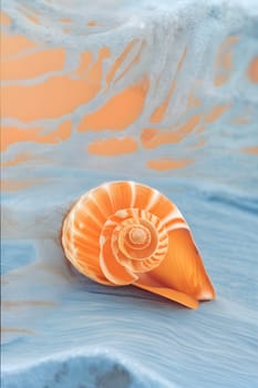Beachside Souvenirs: Seashells and Summer Vibes