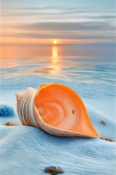 Macro Photography: Exploring Life in Seashells