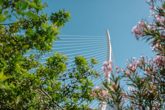 Cables of a modern bridge captured through lush green foliage and pink flowers. The juxtaposition of natural elements with engineered lines creates a dynamic and visually appealing composition.