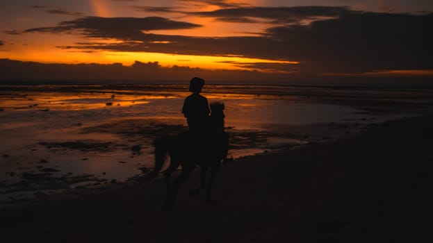 Silhouette of a horse unrecognized rider at sunset on the beach. The vibrant sky reflects on the wet sand, creating a dramatic, serene scene, highlighting the beauty of nature and the moment.