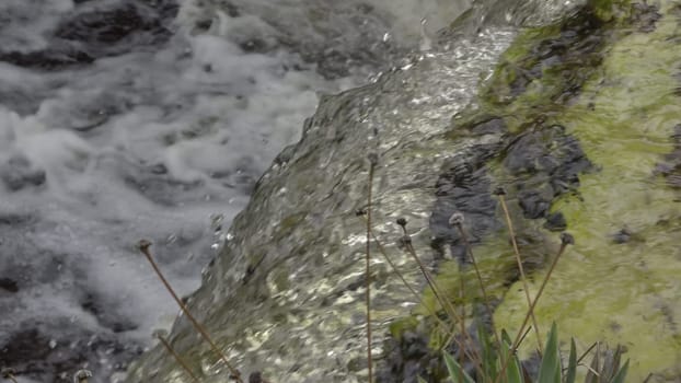 Captivating slow-mo close-up of a waterfall, highlighting detailed water flow and adjacent foliage.