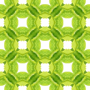 Textile ready Actual print, swimwear fabric, wallpaper, wrapping. Green precious boho chic summer design. Medallion seamless pattern. Watercolor medallion seamless border.