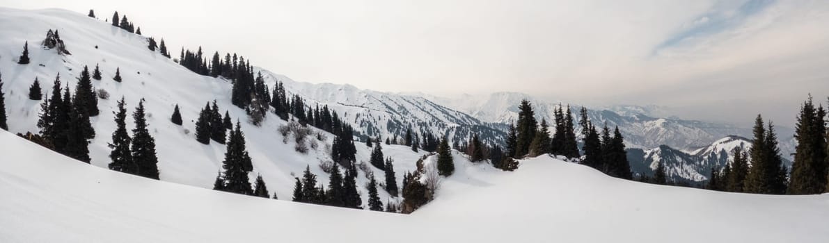 Snow-covered slopes in the winter mountains of central Asia. Banner landscape in the highlands of central asia.