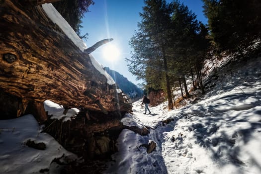 Scenic hiking trail along the winter Bear Gorge in the Almaty region of Kazakhstan, a tourist walks in the distance. Amazing landscapes of Central Asia