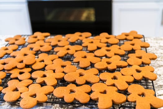 Freshly baked gingerbread cookies find their place on a cooling wire rack in a modern white kitchen, filling the air with festive aromas.