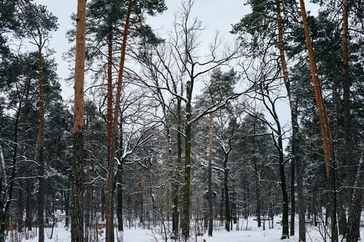 the coldest season of the year, in the northern hemisphere from December to February