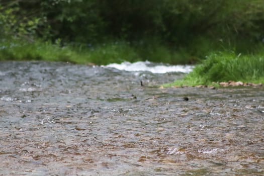 Waterfall stream close-up view from above clear flowing stream over ground gravel and stones. High quality photo