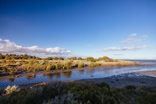 Wetlands area around Paisley Challis Birdhide in Jawbone Flora and Fauna Reserve in Williamstown, Melbourne, Victoria, Australia