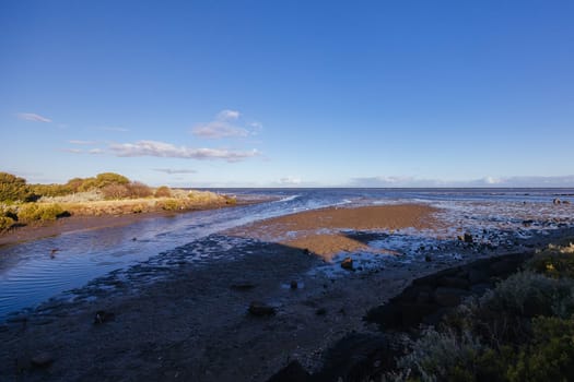 Wetlands area around Paisley Challis Birdhide in Jawbone Flora and Fauna Reserve in Williamstown, Melbourne, Victoria, Australia