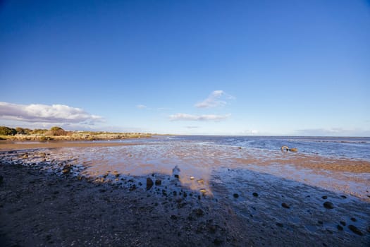 Wetlands area around Paisley Challis Birdhide in Jawbone Flora and Fauna Reserve in Williamstown, Melbourne, Victoria, Australia