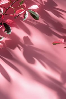 Shadow of a plant on pink stucco wall