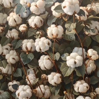 A cluster of white cotton flowers with green leaves, a beautiful addition to any garden. These blossoms belong to the Rose family and are a type of flowering plant