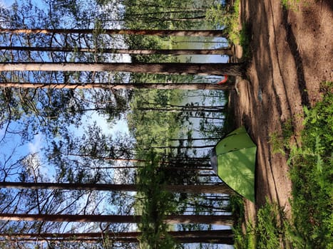 Tent under the pine trees with beautiful summer sunlight. Scene with tourist camping in green forest near the lake. Outdoor Lifestyle vacations.
