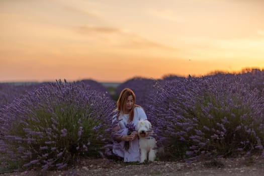 A woman sits in a field of lavender flowers with her dog. The scene is peaceful and serene, with the sun setting in the background. The woman and her dog seem to be enjoying each other's company