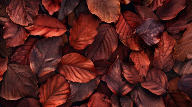 Fallen autumn leaves in shades of red and brown, top view. Nature and seasonal concept.