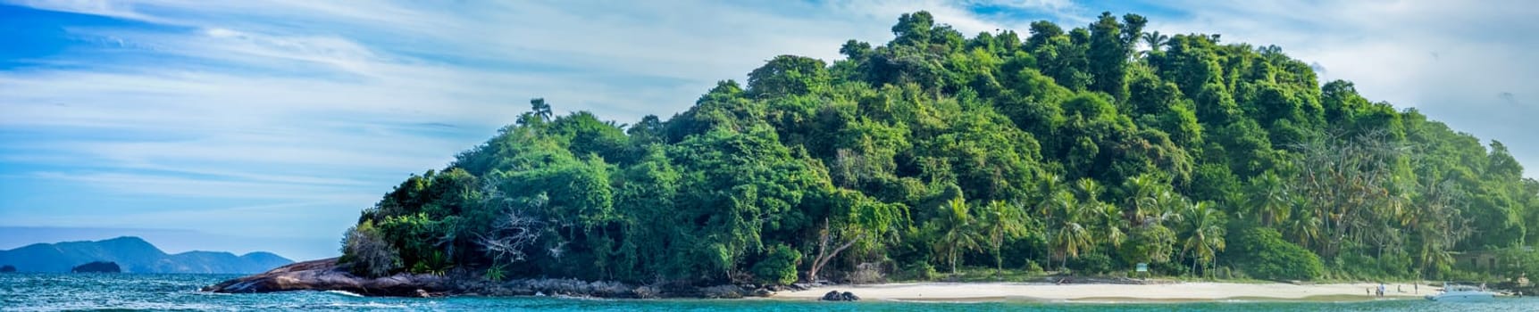 A serene tropical beach bordered by lush forest, under a clear blue sky.