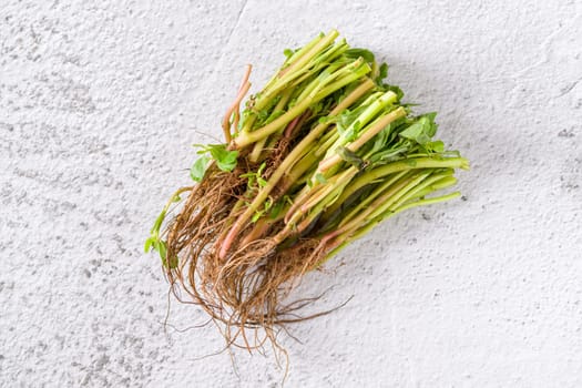 Natural purslane stems and grounded roots on white stone table