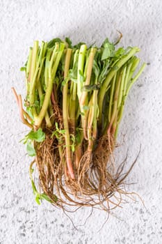 Natural purslane stems and grounded roots on white stone table